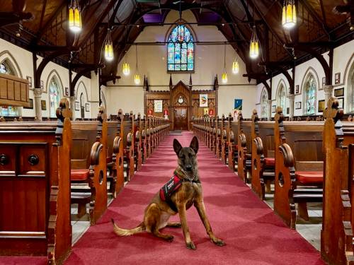 STEPHEN BORYS PHOTO
                                Bliss watches over the sanctuary of Holy Trinity Church.