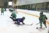 Brandon Sun files
                                Under Manitoba&rsquo;s Protecting Youth in Sports Act, all provincial sports organizations must adopt and implement the Sport Manitoba Safe Sport policy manual.