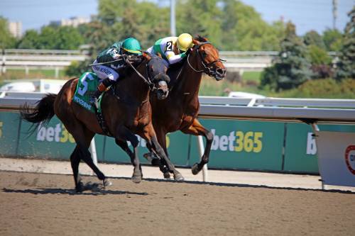 Michael Burns / Woodbine Photo
                                Brachetto ridden by Ryan Munger (left) takes the Grade 3 Marine Stakes at Woodbine last Saturday.