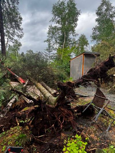 Broken or uprooted trees fell on Darren James&rsquo; trailer when a severe thunderstorm hit Whispering Pines seasonal campground in Whiteshell Provincial Park Monday. (Supplied)