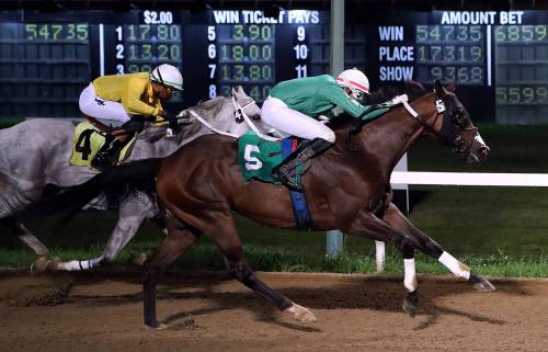 Jason Halstead / Assiniboia Photo
                                Jockey Sven Balroop wins the 7th race on Wednesday aboard You Vee Cee for trainer Steve Keplin Jr., to move into a tie with Antonio Whitehall for the lead in the Assiniboia Downs jockey standings.