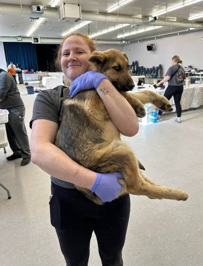 FACEBOOK
                                Amanda Nobiss in Sandy Bay in April 2026 during a spay and neutering event Nobiss, 37, died of a dog attack on the Sandy Bay First Nation while she was volunteering with K9 Advocacy Manitoba earlier this month.