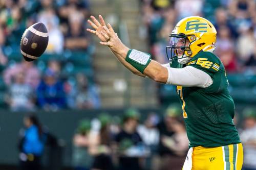 Timothy Matwey / THE CANADIAN PRESS
                                Edmonton Elks quarterback Cody Fajardo receives a snap during the first half against the Winnipeg Blue Bombers in Edmonton on Friday.