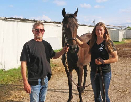 George WIlliams
                                Breeder Larry Falloon and Cindy Lukianchuk with sales topper, Hip #32, a half-sister to local champion Mighty Mikee, by Nonios, who sold for $24,000 to Anne Champion on Thursday.