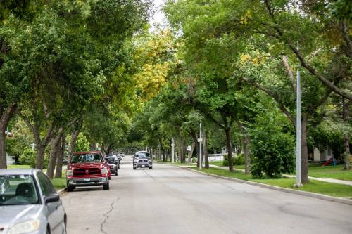 MIKAELA MACKENZIE / FREE PRESS
                                Officers arrived at the 600 block of McMeans Avenue East and, after a search, found a naked man who, police said, refused their commands and ran away.