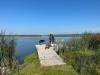 Stephen Borys photo
                                Wanda Koop with her dogs at the lake.