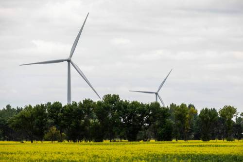 MIKAELA MACKENZIE / FREE PRESs fileS
                                Wind turbines in southern Manitoba in July. New analysis shows wind-generation reliability exceeds expectations.