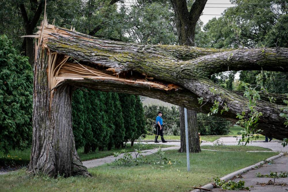 JOHN WOODS / FREE PRESS
                                Residents and crews were cleaning up damage on Borebank St at Mathers Monday, September 7, 2026 caused by wind damage from a storm that hit the area Sunday evening. reporter: melissa