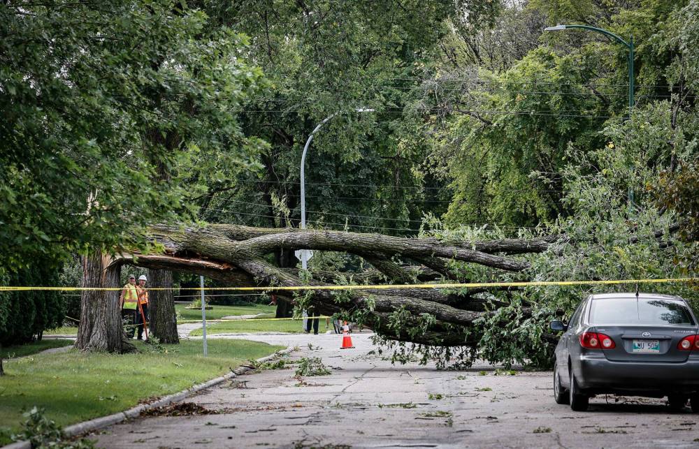 JOHN WOODS / FREE PRESS
                                Residents and crews were cleaning up damage on Borebank St at Mathers Monday, September 7, 2026 caused by wind damage from a storm that hit the area Sunday evening. reporter: melissa
