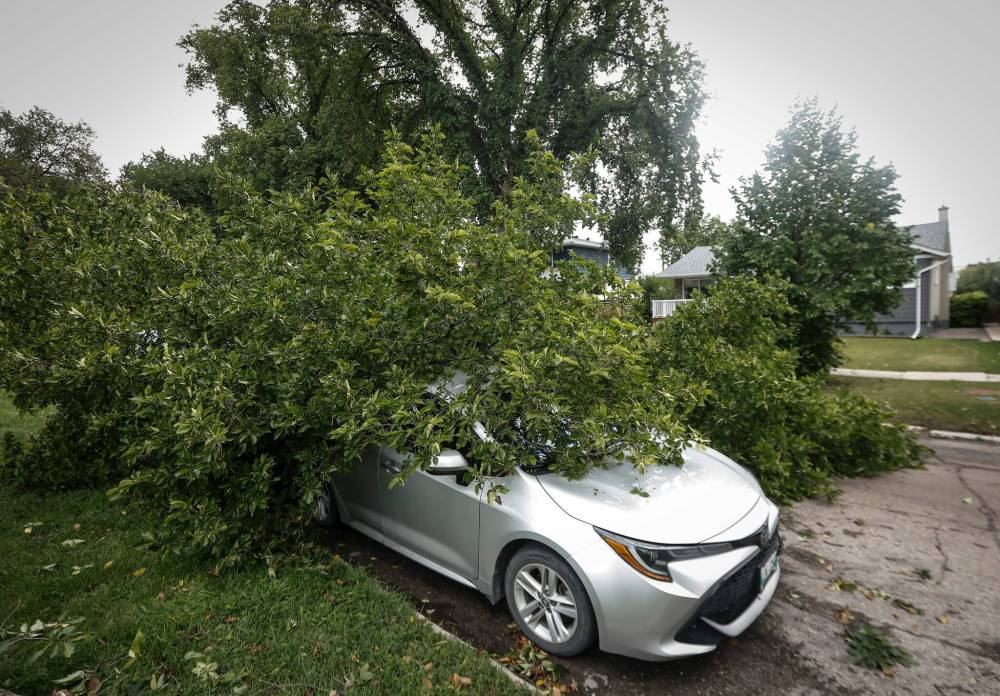 JOHN WOODS / FREE PRESS
                                Residents and crews clean up damage on Campbell Street on Monday after a storm hit on Sunday evening.