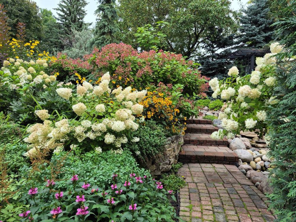 Colleen Zacharias photo
                                If your garden looks like a jungle, some serious editing may be needed.