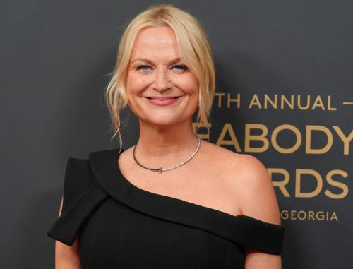 Chris Pizzello / The Associated Press Files
                                Amy Poehler