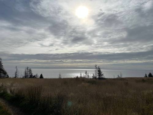 Russell Wangersky photo
                                The sun breaks through the clouds in Gusset&rsquo;s Cove.