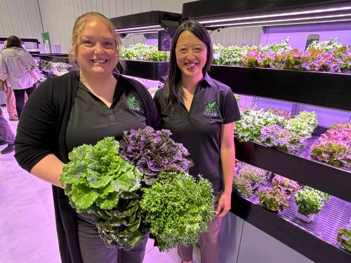 AARON EPP / FREE PRESS 
                                Rachel Green, co-founder and research manager, and Victoria Leung, managing director, display a tray of fresh greens while standing in front of a Les Verts Terrace Pro 2-Tier Indoor Hydroponic Garden system at the Les Verts Living headquarters in Winnipeg on Thursday.