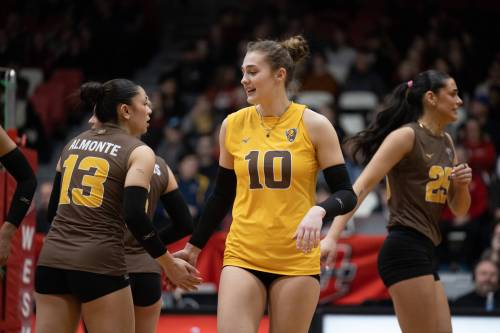BISON SPORTS
                                Manitoba Bisons libero Chelsea Siebenga (10) is one of two veterans on the women&rsquo;s volleyball team who was developed during the club&rsquo;s decorated era. Siebenga has embraced her mentor role alongside fellow fifth-year Aviendah Plett.