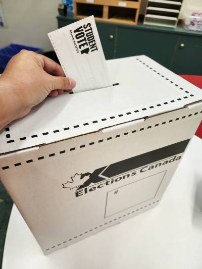 SUPPLIED
                                Sometimes, deciding which candidate to trust comes down to a gut feeling.