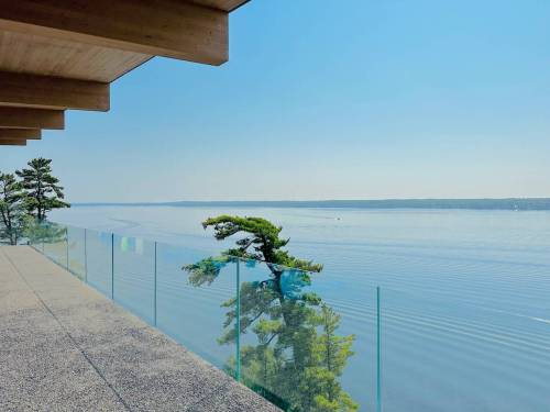Stephen Borys photo
                                Lake view with white pine.